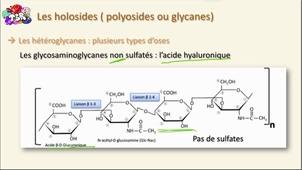Les osides partie 2
