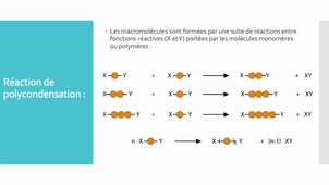 Cours polymères