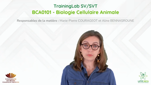 BCA0101 - Biologie Cellulaire Animale