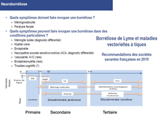 DFGSM3 - MED0501 - Maladie de Lyme - Présentation clinique
