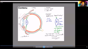 Anatomie-vision - P9