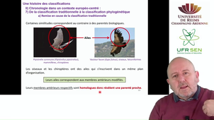 Histoire des classifications - capsule 4