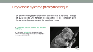 DFGSM2 - MED0303 - Pharmacologie du système nerveux autonome - Récepteurs et physiologie du SNA