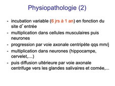 DFGSM3 - MED0501 - Rage - Virologie / Physiopathologie