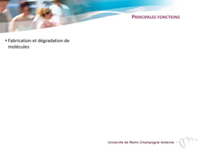 UE 2.1 - Biologie Fondamentale