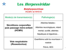 Virologie CM 3-2
