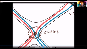 Anatomie-vision - P12