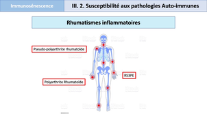 DFGSM3 - Semestre 1 - MEDLIB0505 - Immunosénescence : manifestations cliniques