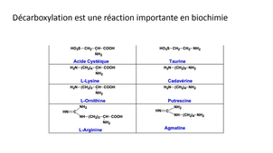 LAS 2 - Les halogénés et oxygénés