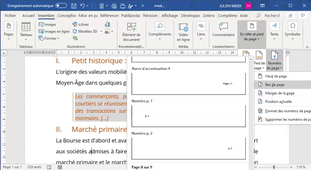 Projet2_05_en_tete_pied