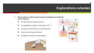Sémiologie dermatologique (Séquence 1)