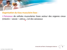2.7 les tissus séquence 7