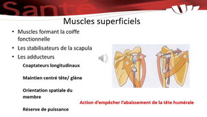 Séquence 1.1 - Approche biomécanique de l'épaule - P1