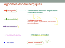 L.AS 3ème année - UE 64 - Pharmacologie - Le système dopaminergique