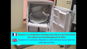 formation BPL : accidents au laboratoire