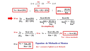 PASS / L.AS - Semestre 1 - UE 12 - Biochimie générale - Enzymes - Cinétique enzymatique