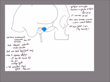 UE 24 - EC1  Mandibule et muscles masticateurs - P5