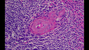Utilisation microscope