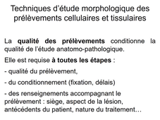 UE MED0302 - Notions fondamentale de pathologie - Séq 1