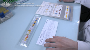 Vidéo 7 - Les tests biochimiques  4 : la galerie API