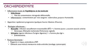 DE IPA URGENCES - infections urinaires de l'adulte  - UE12_BF_12