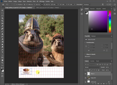 Photoshop_Affiche_etape5_grilles