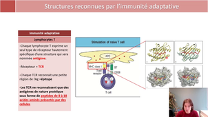 LAS 2 UE44 EC1 MEDECINE IMMUNOLOGIE 1DETECTION DES AGENTS PATHOGENES b reconnaissance des pathogènes par le système immunitaire