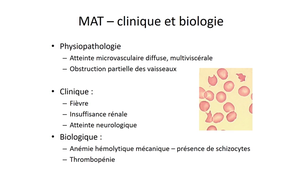 DFGSM2 - MEDLIB0403 - Physiopathogénie du purpura thrombotique thrombocytopénique - Rappels de physiologie et classification des MAT
