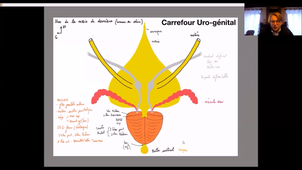 UE24 EC2_Testicules - P10
