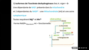 Suite Biocatalyse de l'acide citrique par Aspergillus niger