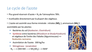 PASS - UE 15 - Evolution, Ecologie, Environnements - Les flux d'un écosystème