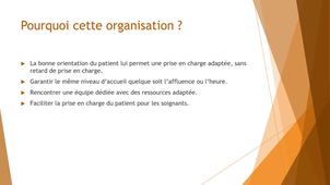 DE IPA URGENCES -  Parcours de soin intrahospitalier au SAU - UE14_P_10