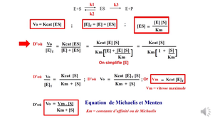 biochimie
