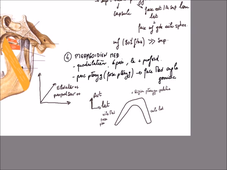 UE 24 - EC1  Mandibule et muscles masticateurs - P13