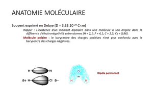 UE9EC6 - CM2 - Pr. Renault - 1/4