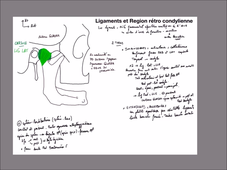 UE 24 - EC1  Mandibule et muscles masticateurs - P9