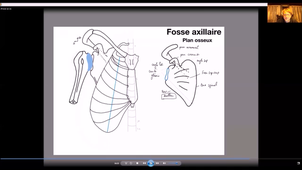 UE24 EC2_Gland mammaire - P2