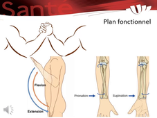 UE 24 - EC9 : Approche de biomécanique humaine et anatomie fonctionnelle (e-learning)