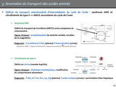 DFGSM3 - MEDLIB0503 - Aminoacidopathies et déficits du cycle de l'urée (Partie 2)