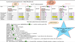 Explication 3e déclinaison