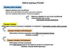 2.2 Equilibre hydro-electrolytique