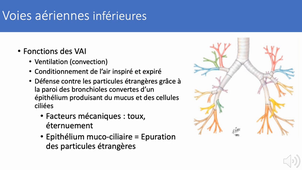 2.2 Physiologie appareil respiratoire part 2