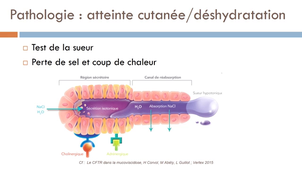 UEMED0302 - ASP4 - Séq 3