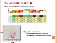 MEDLIB0403 CMF
